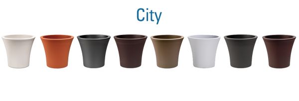 City MAIN  1 